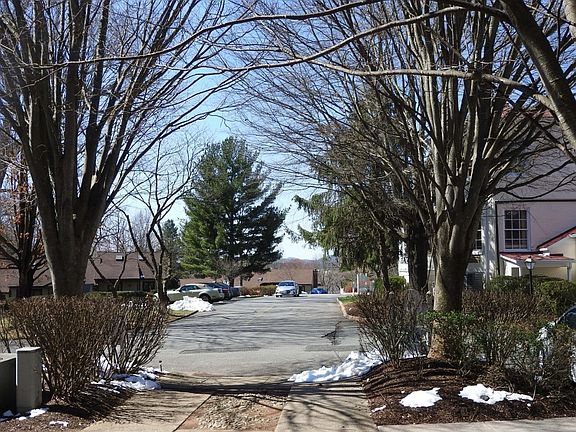 5th image of 1325 Branchlands Dr APT C