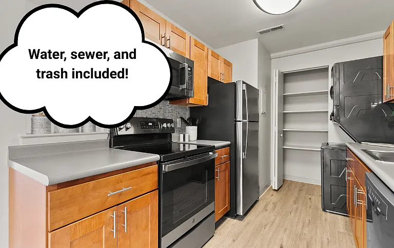 Contemporary Kitchen Style with Stainless Steel Appliances