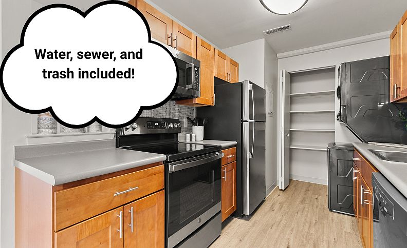 Contemporary Kitchen Style with Stainless Steel Appliances