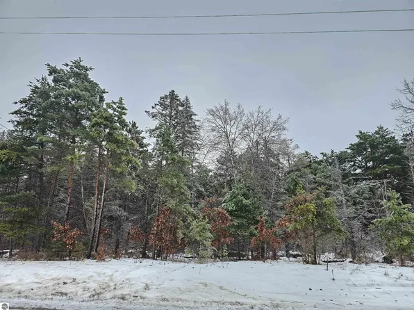 0 S Dickerson Rd, Lake City, MI 49651