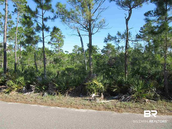 2nd image of Palmetto Dr
