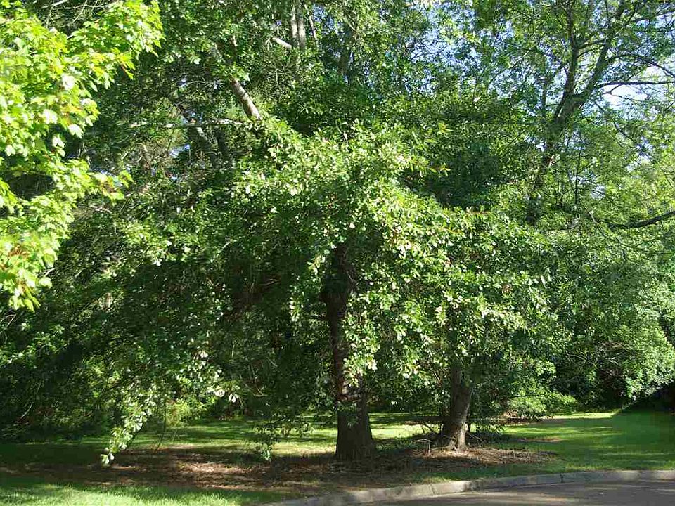 2nd image of 5 Crane Park