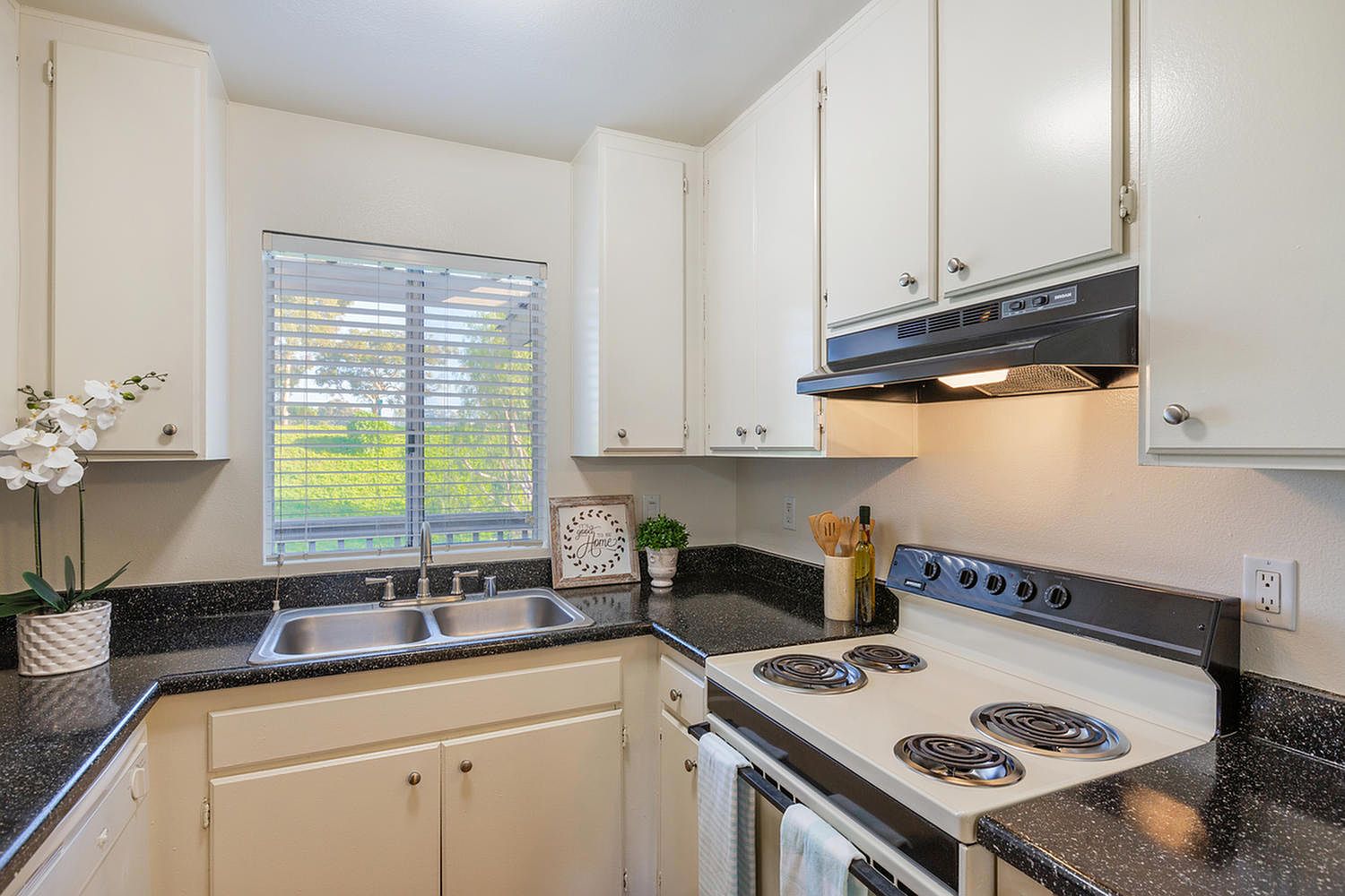 Elan Village North Apartment Rentals Oceanside