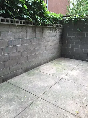 Rented by Guidance Realty Corp. | media 34