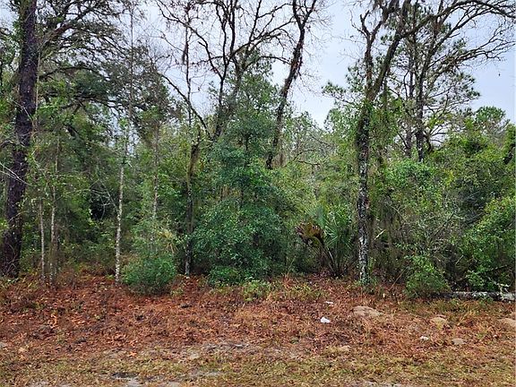 2nd image of 7360 W Dunnellon Rd