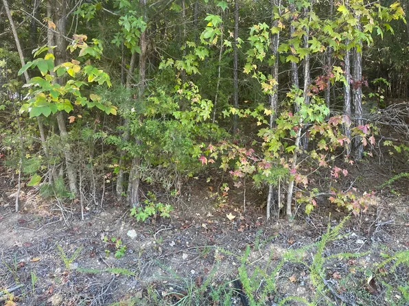 2463 Burton Rd, Sale Creek, TN 37373
