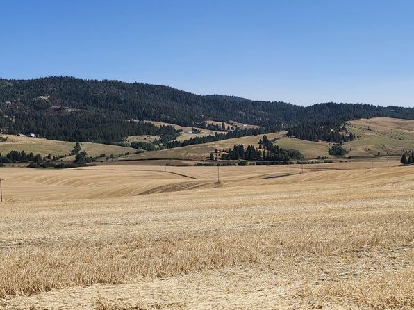 S 8008 Jackson Rd, Mica, WA 99023