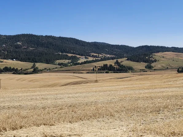 S 8004 Jackson Rd, Mica, WA 99023