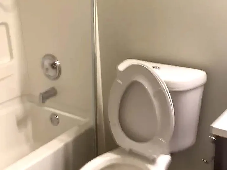 Upstairs Bathroom toilet
