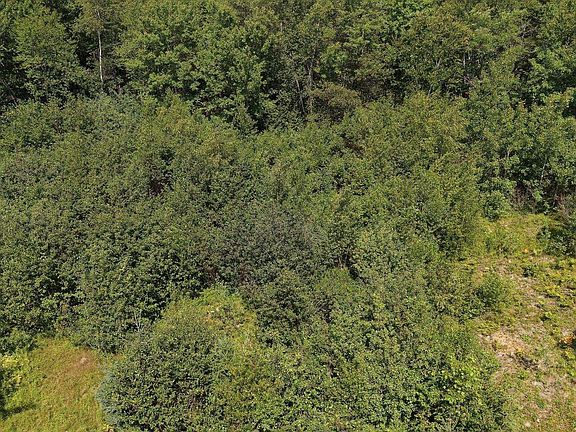 4th image of Ridge Rd N