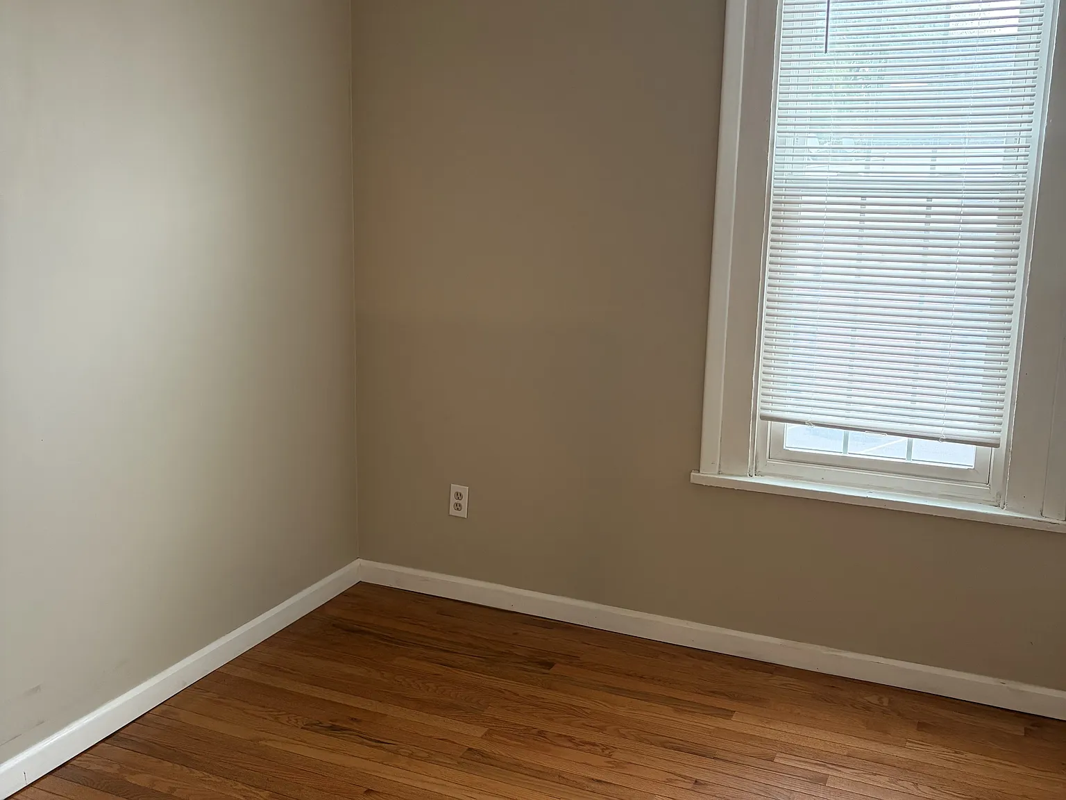 1 bed, 800 sqft, $1,500 — Photo 3