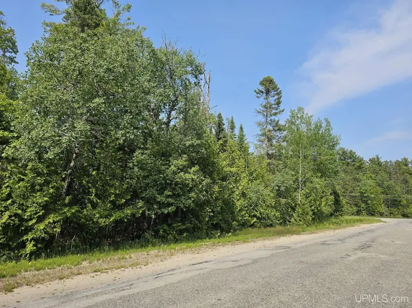 N County Road 440, Manistique, MI 49854
