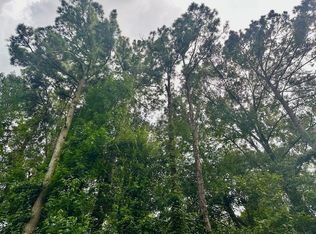 County Road 2650, Shelbyville, TX 75973