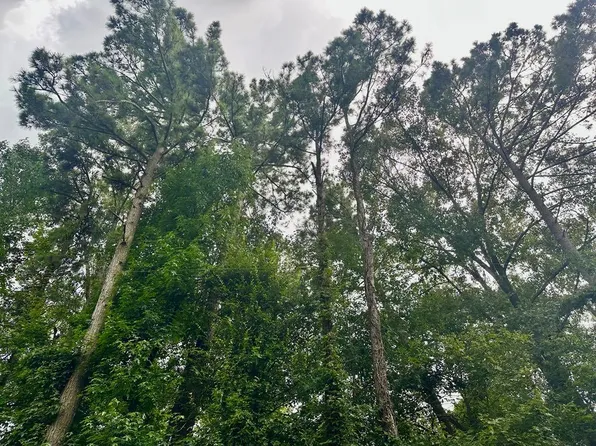 County Road 2650, Shelbyville, TX 75973