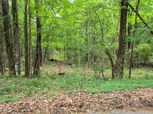 0 Dale Dr, Jackson, AL 36545
