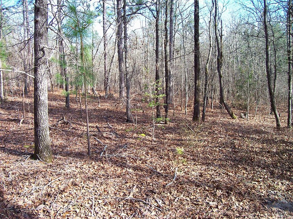 2nd image of 171 George Brown Rd