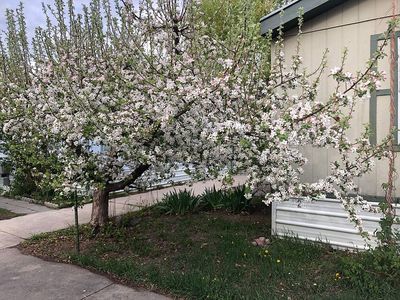326 S Surrey St, Missoula, MT, 59808