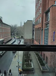 Rented by Bold New York