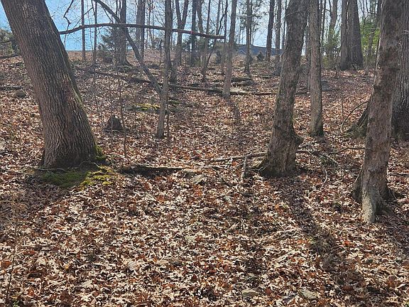 5th image of 39 E Shore Rd
