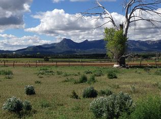 00 Road P, Mancos, CO 81328