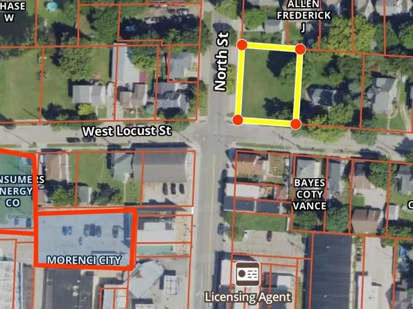 202 North St, Morenci, MI 49256