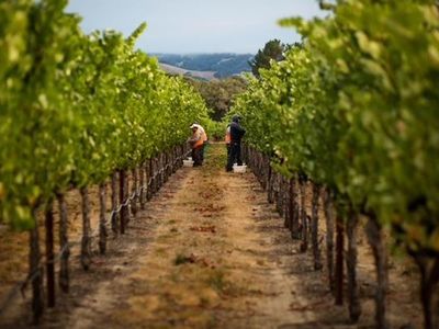 2101 Trail Gulch Rd, Placerville, CA, 95667