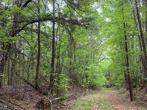 0 Wingo Rd, Wellford, SC 29385