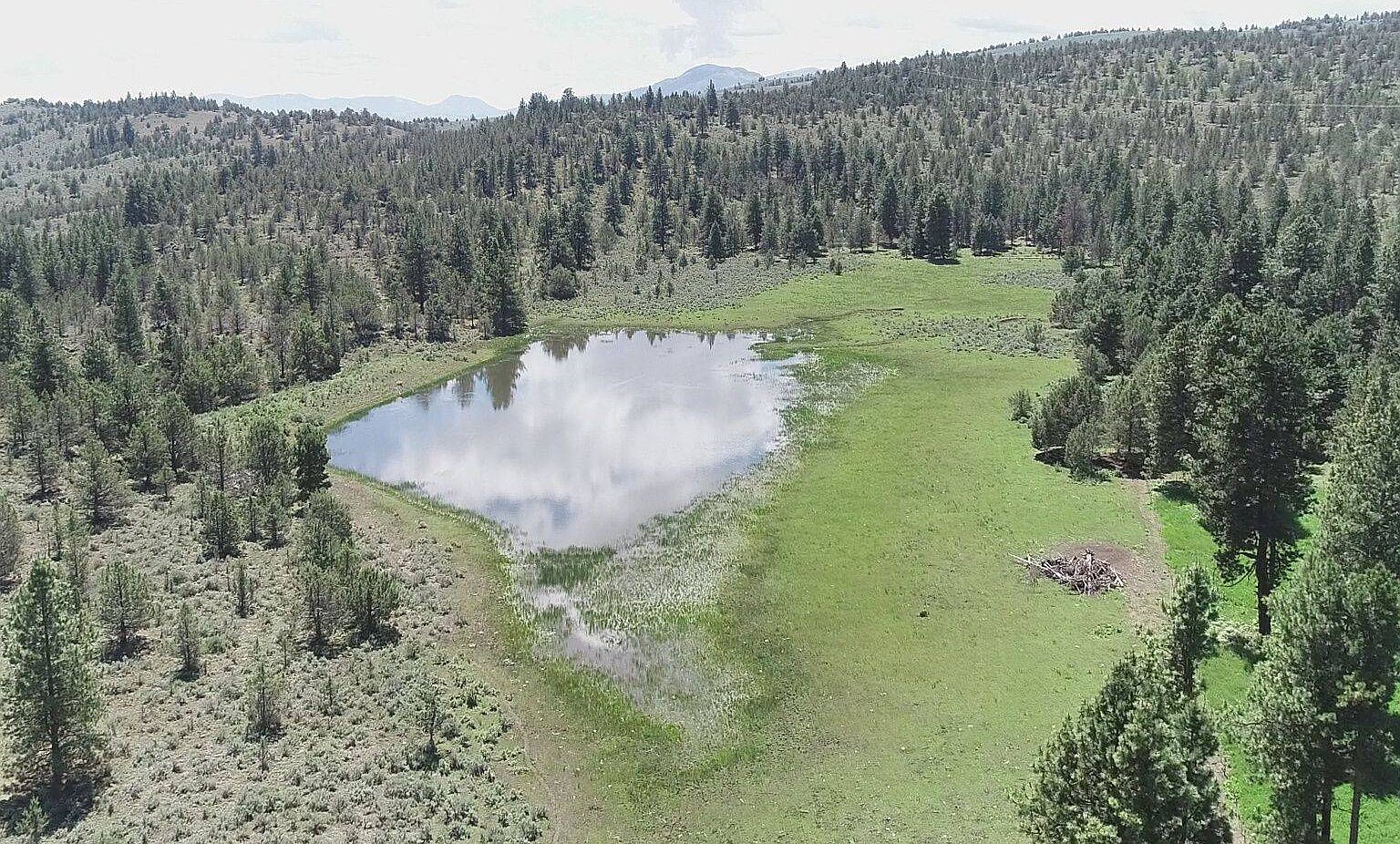 123 Bare Ln, Unity, OR 97884 MLS 11063561 Zillow