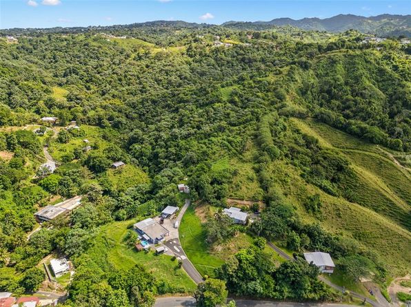 Carr 567 Km 15 Barrio, Morovis, PR 00687
