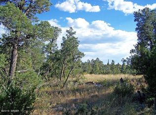 3117-21 Ranch Rd #25, Overgaard, AZ 85933