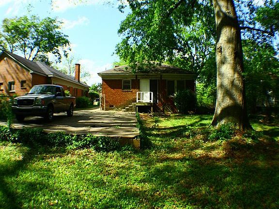 Backyard Summer 2010