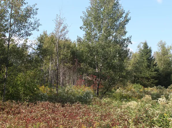 lot 4 Woodrbridge Corner Roads, Sherman, ME 04776