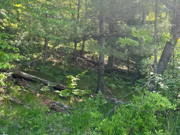 Lake John Rd, Lakewood, WI 54138