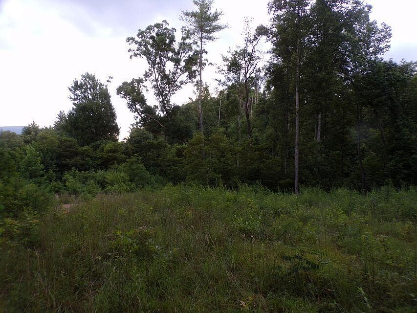1st image of Robinson Hollow Ln