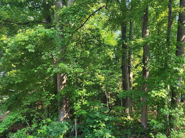 0 Murphrey St, Roanoke Rapids, NC 27870