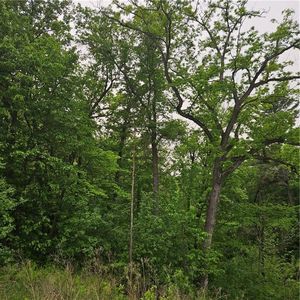 TBD 330th Avenue, Elmwood, WI, 54740
