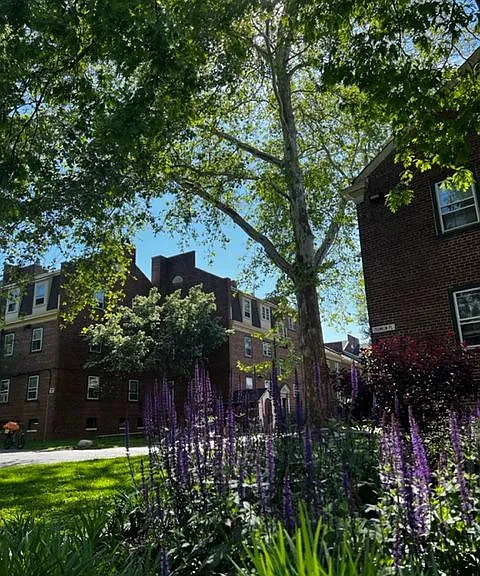 704 N Ter #A — Photo 8
