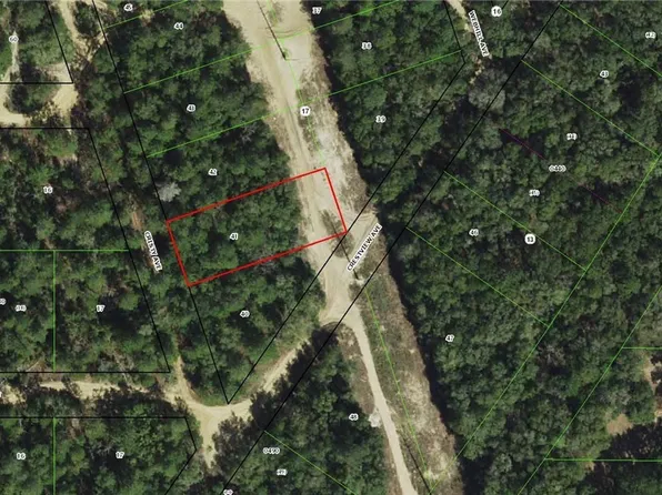 107 S Cristy Ave, Inverness, FL 34452