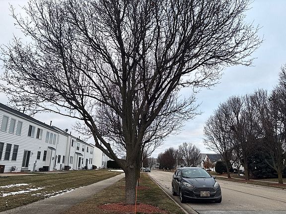 5th image of 1756 Waters Edge Dr
