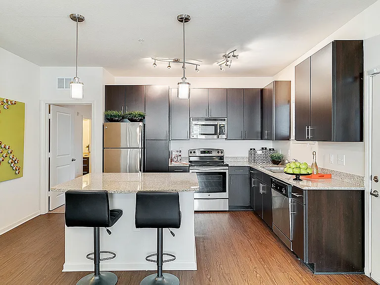 12780-olive-jones-road--tampa--fl-33625
50