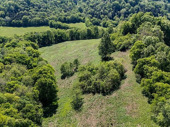 44th image of 7480 Beech Hill Rd