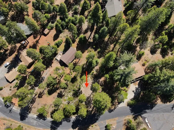 2036 Rainy Dr, Arnold, CA 95223