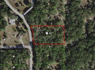 10589 N Rousseau Dr, Dunnellon, FL 34433
