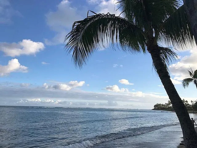 Beach adjacent to condo