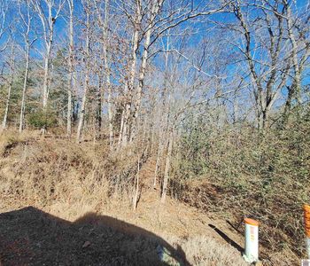 0 Center Ridge Rd, Murray, KY, 42071