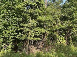 County Road 1060, Center, TX 75935