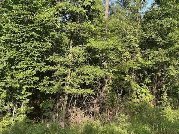 County Road 1060, Center, TX 75935