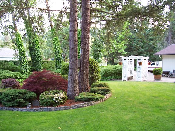 Back yard