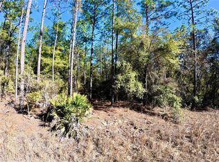 SW 38th Pl Lot 1, Ocala, FL 34481