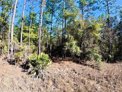 SW 38th Pl Lot 1, Ocala, FL, 34481